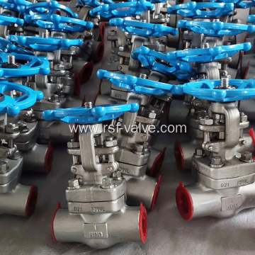 API602 Forged Steel F304L Gate Valve